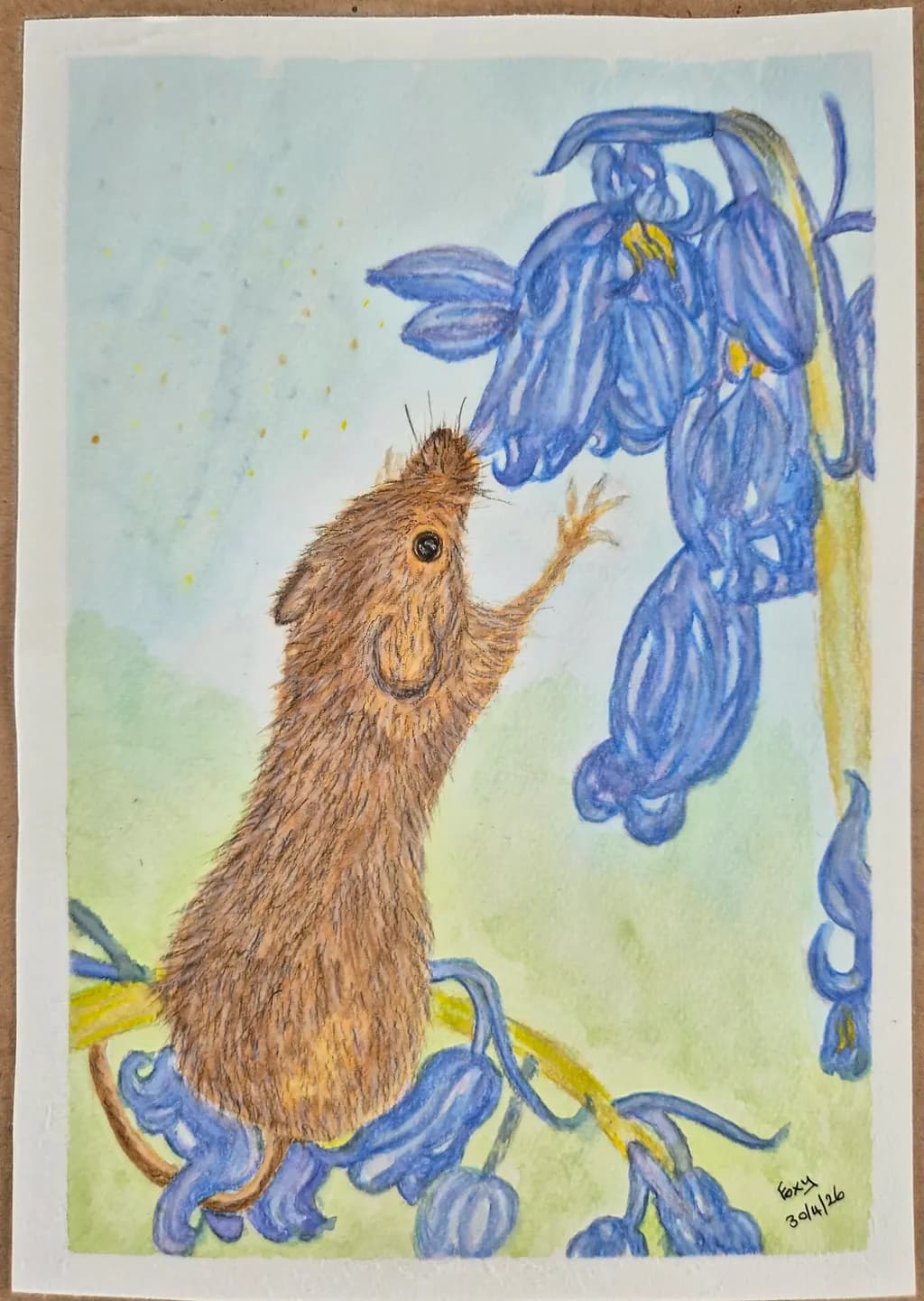 Bluebell Encounter