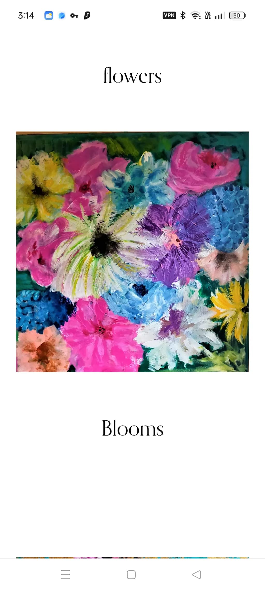 Flowers Blooms