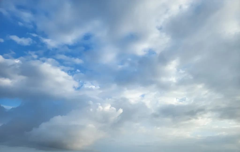 Mingled Skies