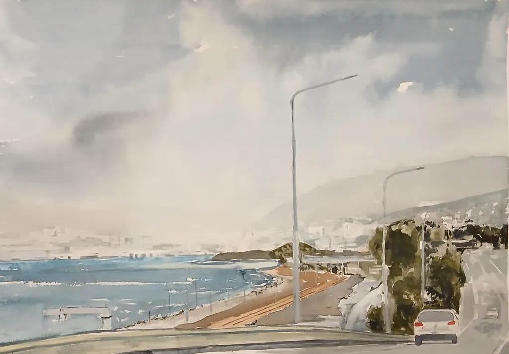 Driving into Wellington