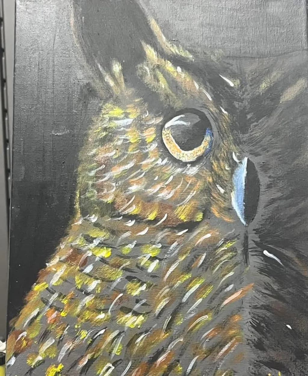 Nocturnal Gaze
