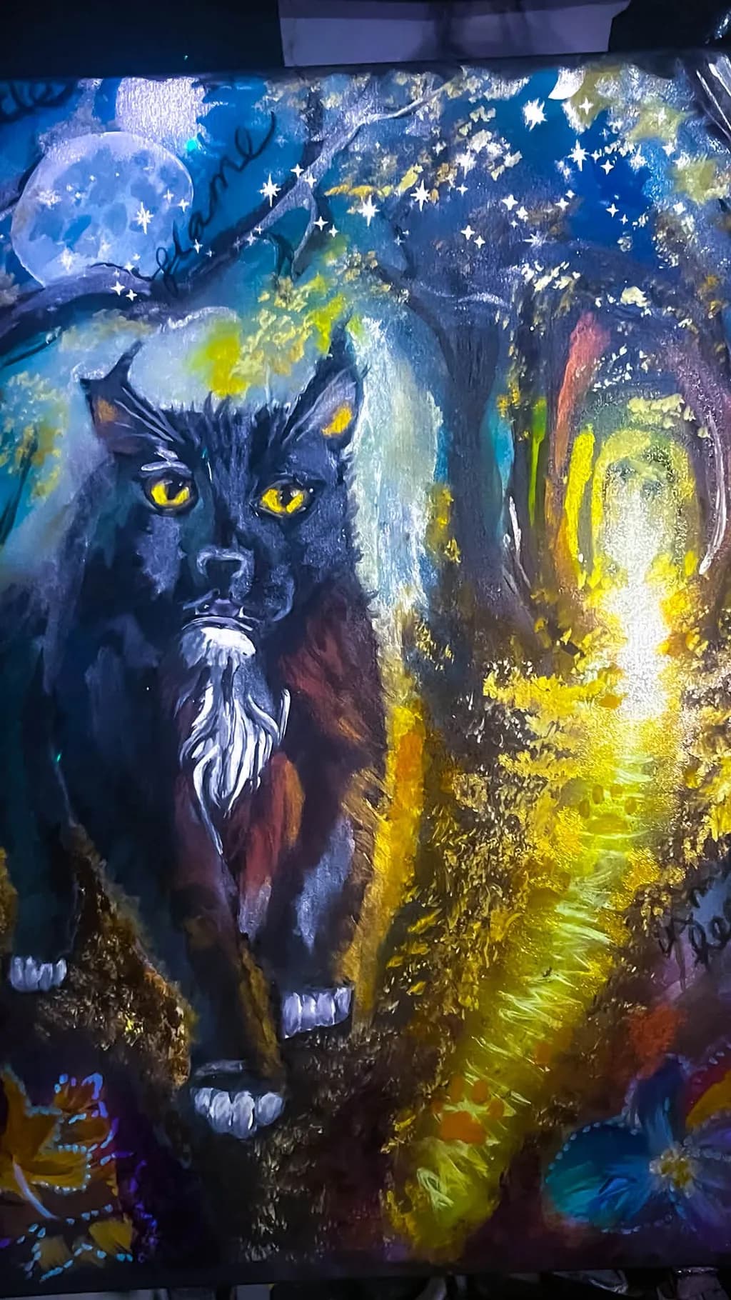 Midnight Cat Path