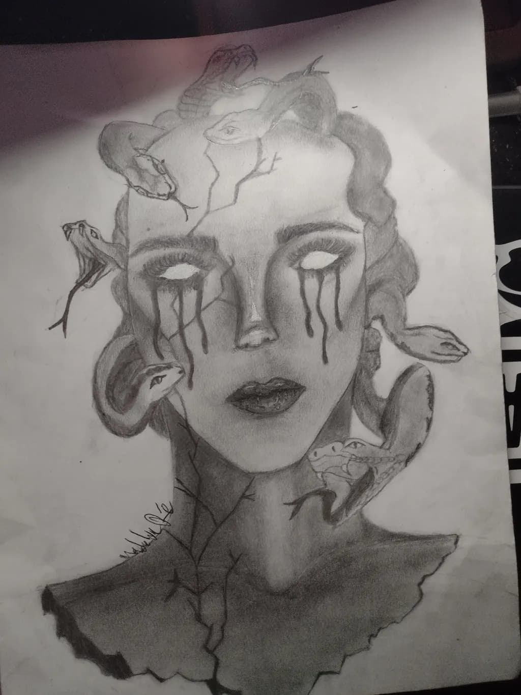 Medusa’s Veil