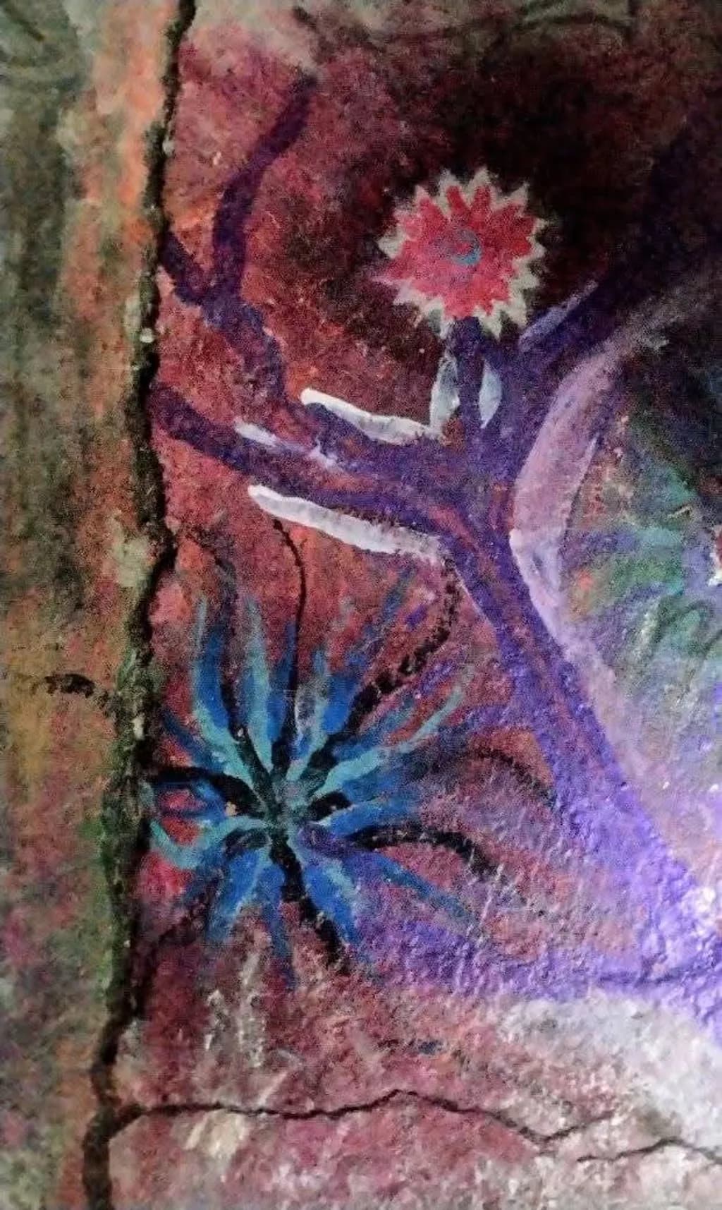 Cracked Bloom