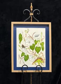 Moonflower Nocturne