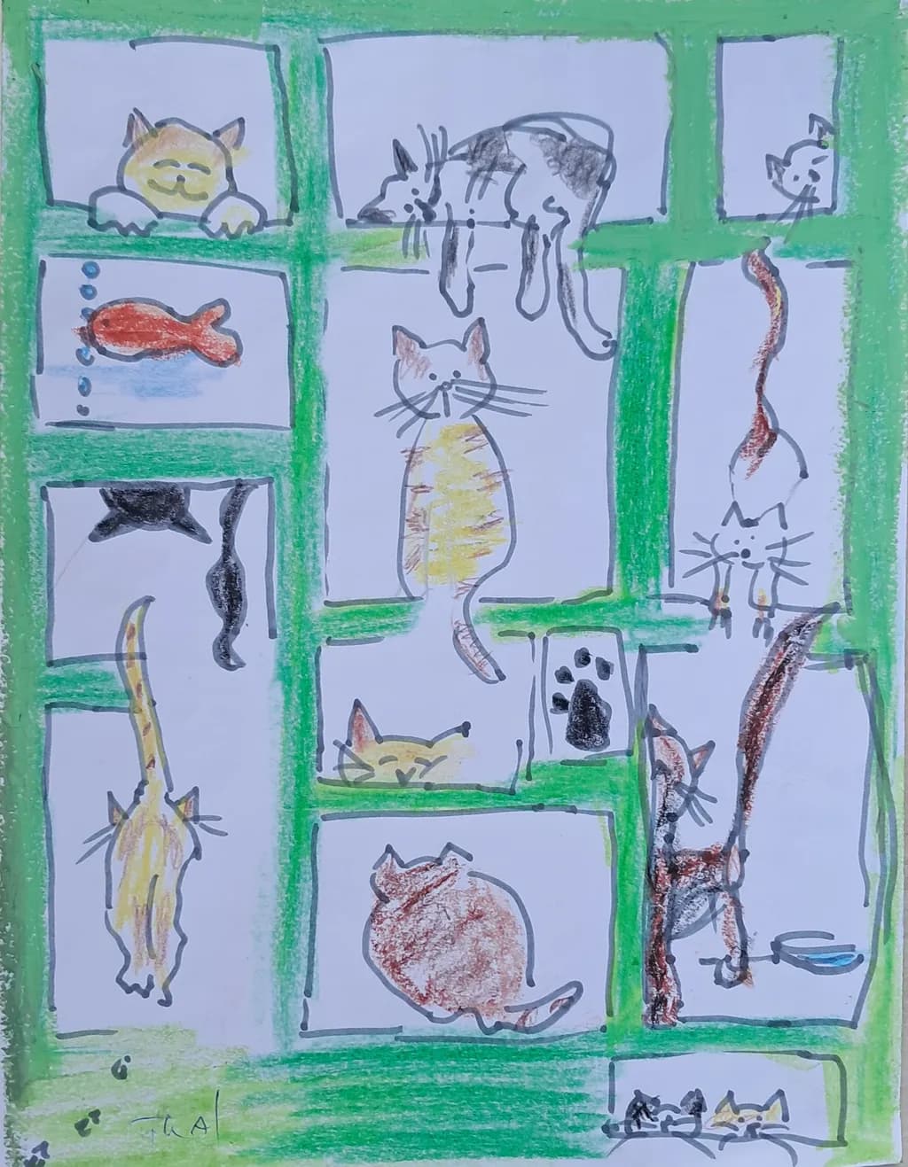 Cats in Frames