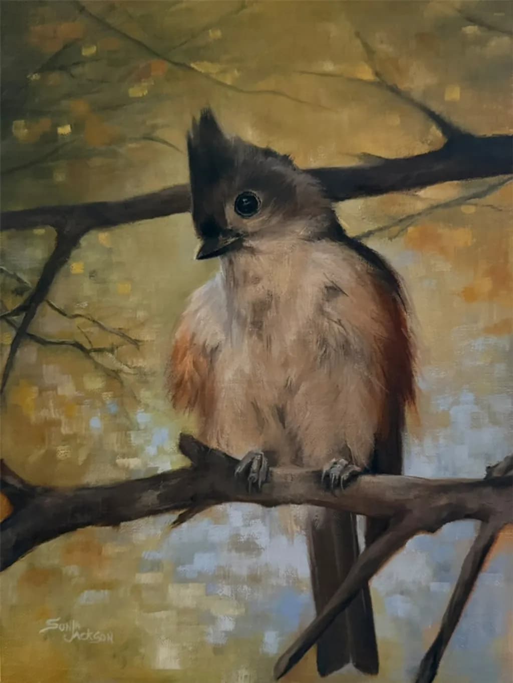 Splendent Bird