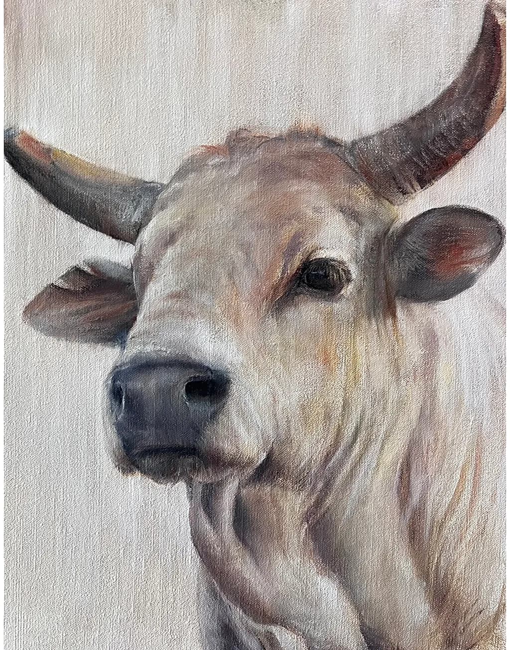 Bull-Headed