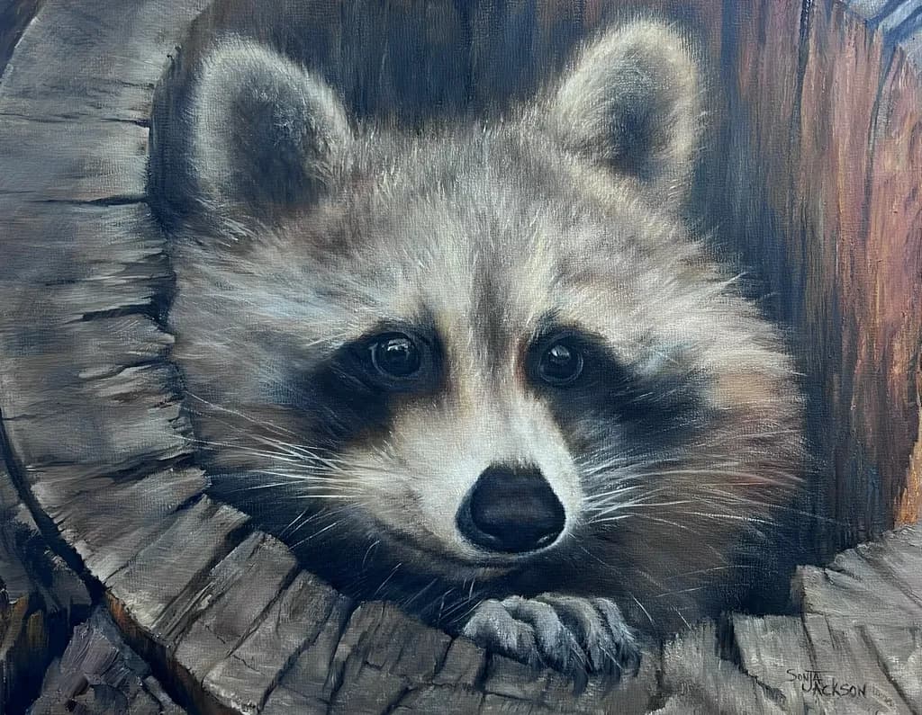 On the Lookout