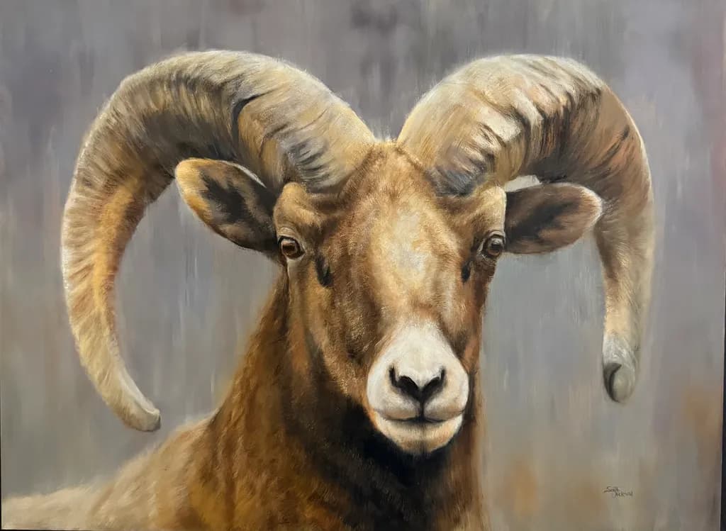 Majestic Ram