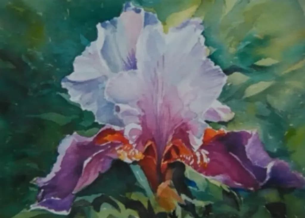 Iris Bloom