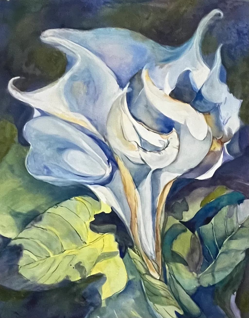 Calla Symphony