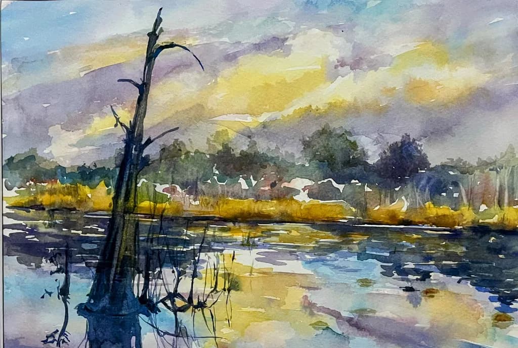 Dusky Marsh Reflection