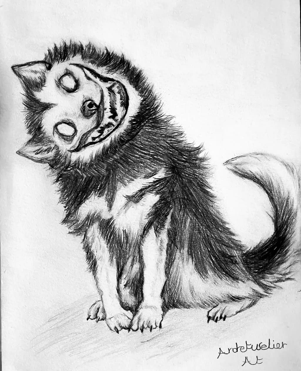Grinning Shadowhound