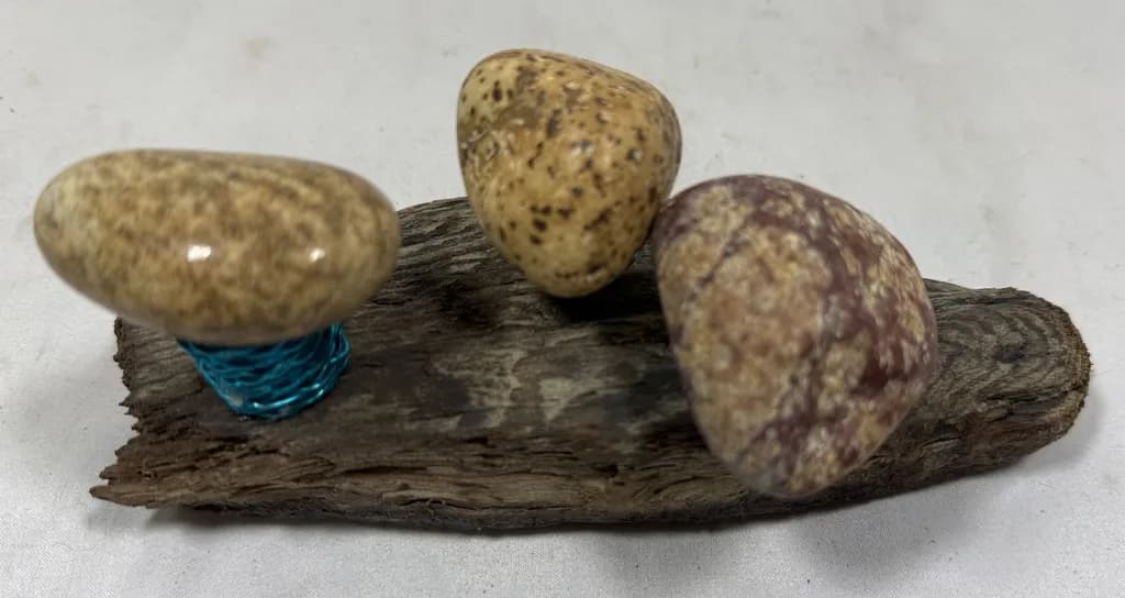 Polished Stones on Driftwood