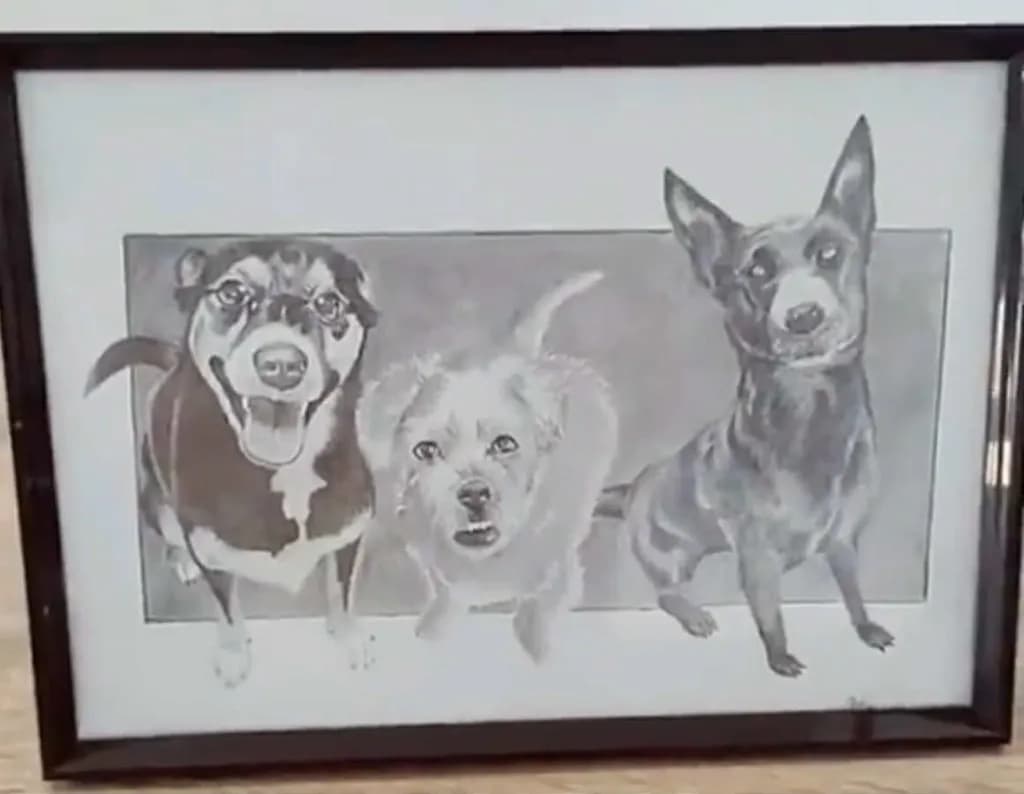 Three Pawspective