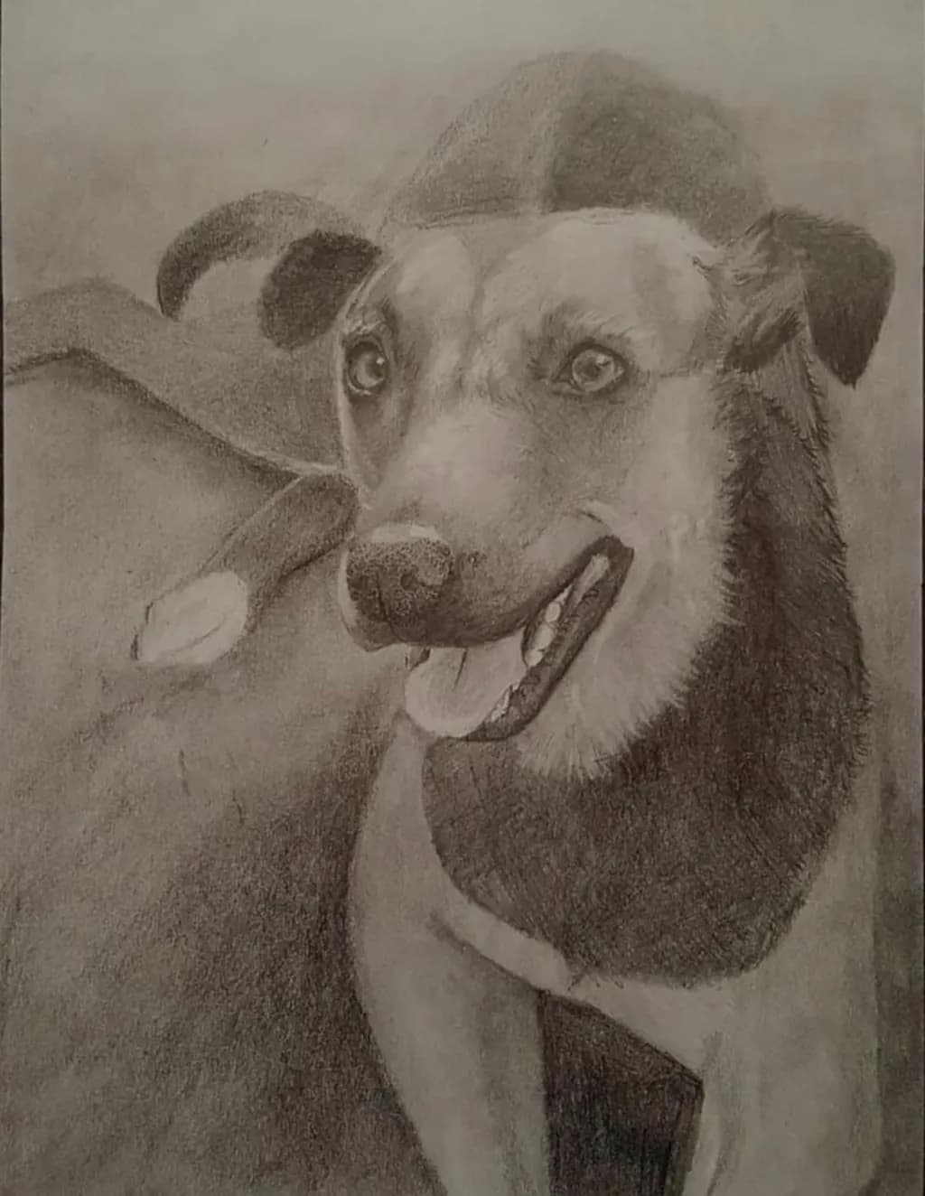Joyful Companion