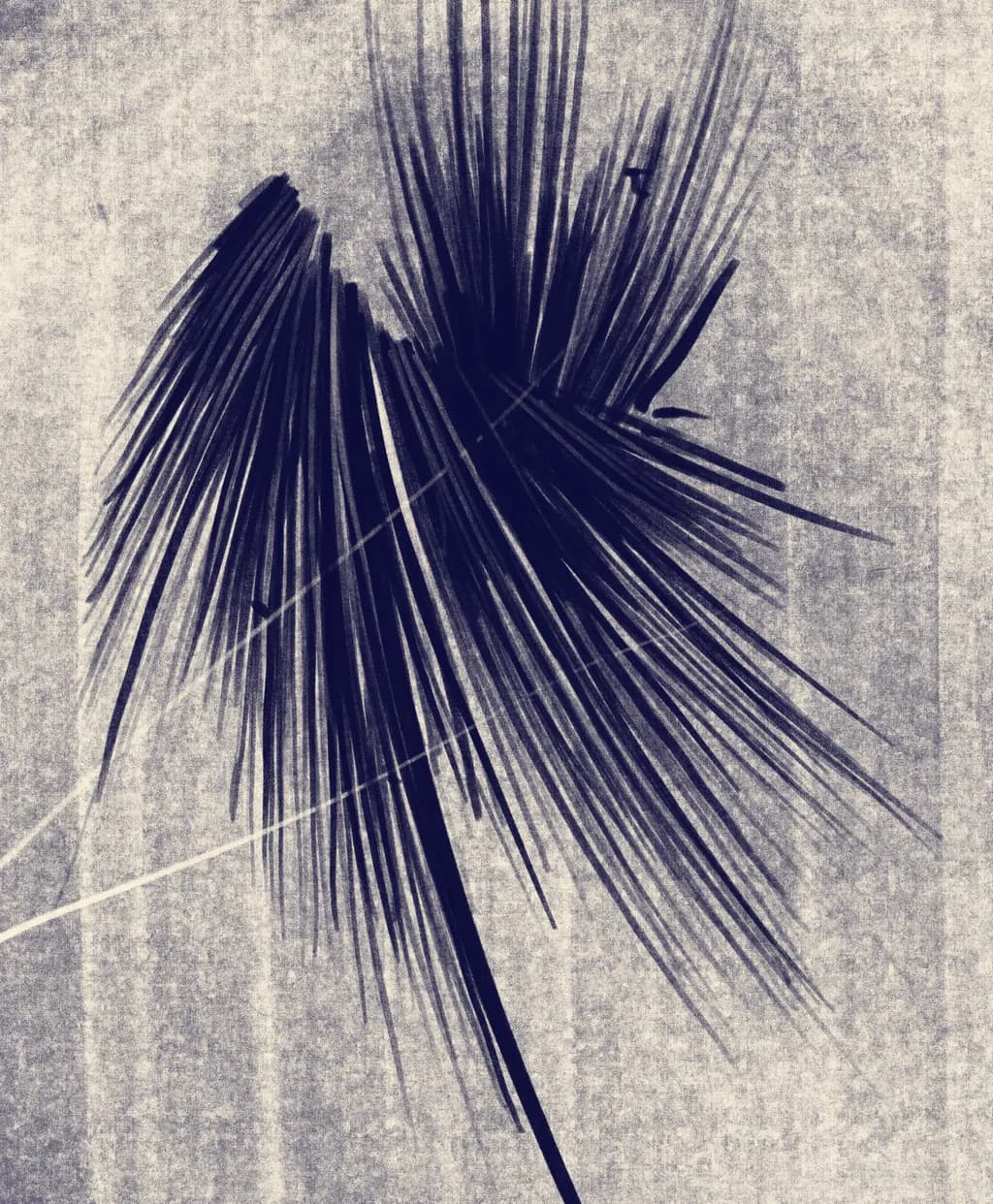 Shadow Palm