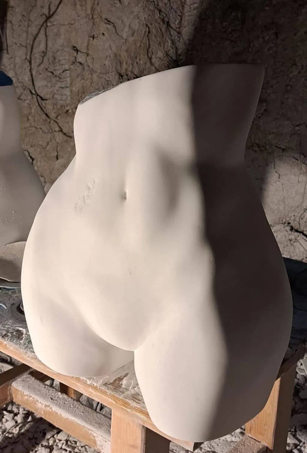 Classical Torso