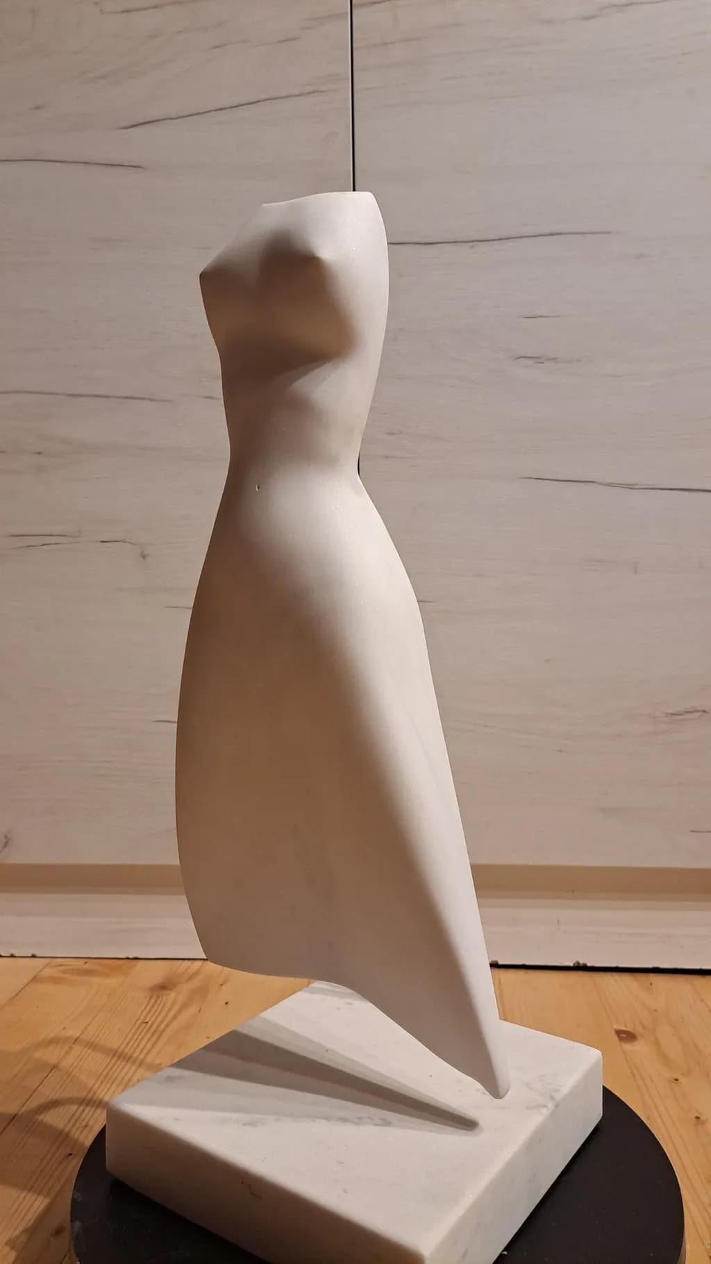 Abstract Torso