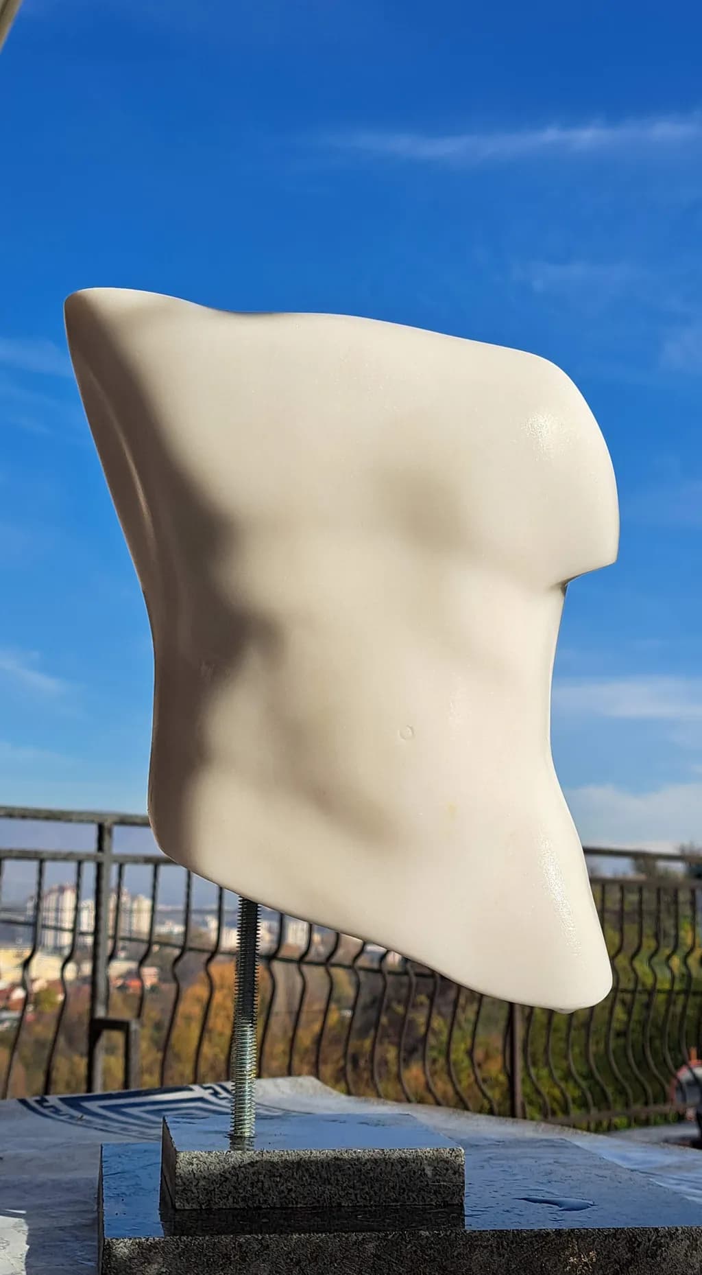 Abstract Torso Form