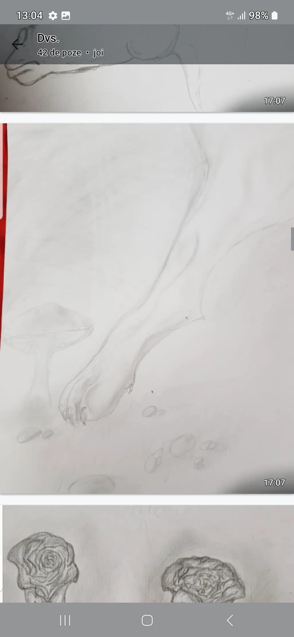 Mushroom Paw Study