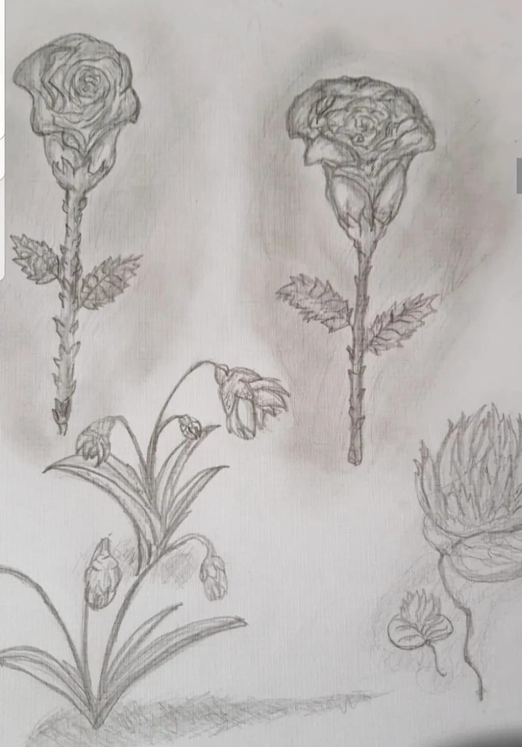 Floral Study