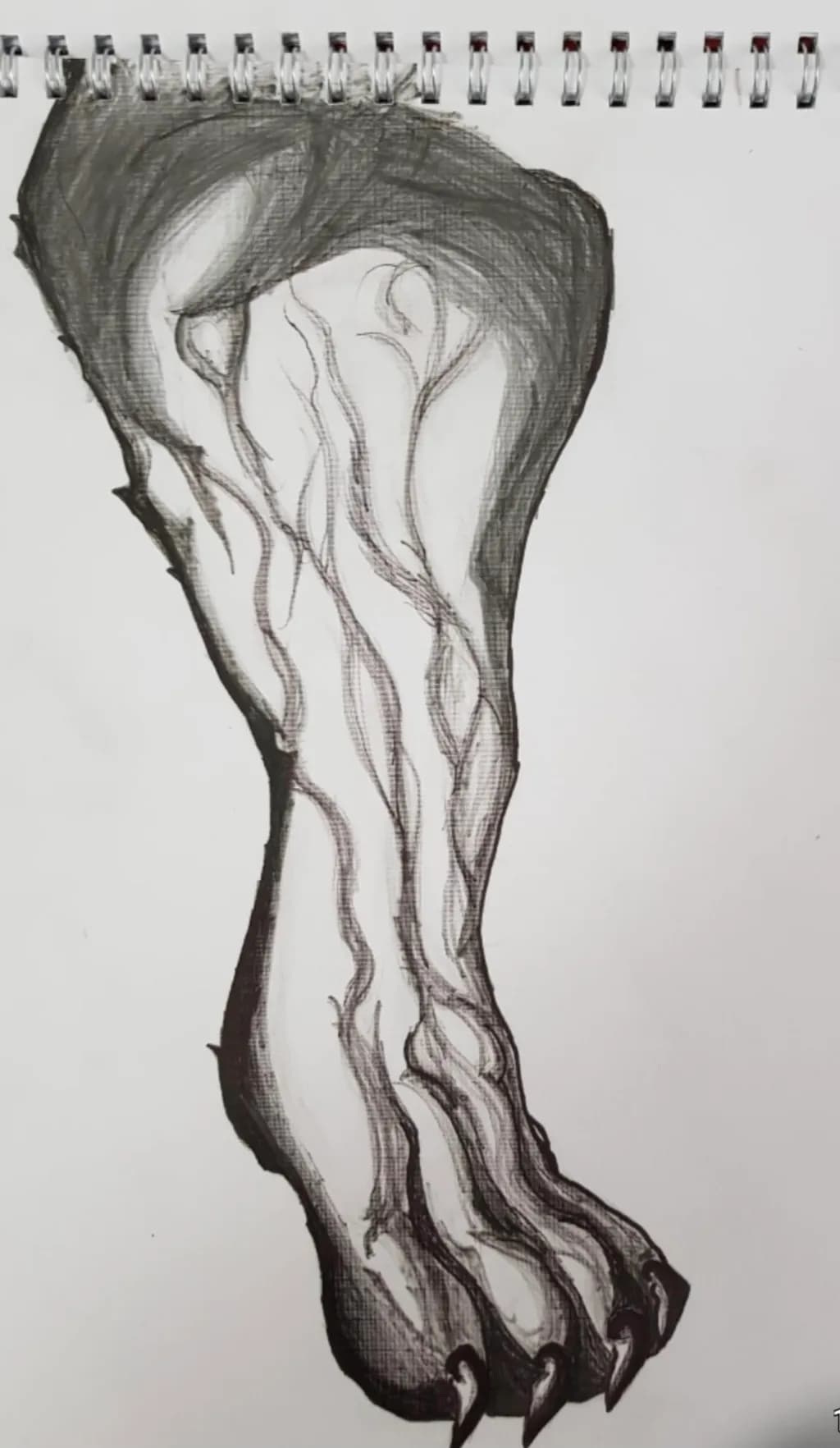 Veined Claw