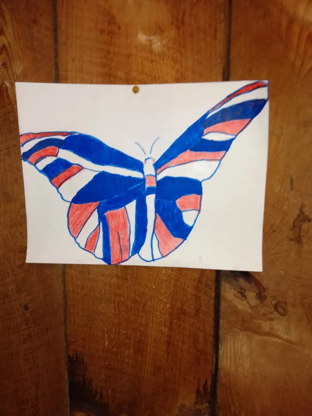 Striped Monarch
