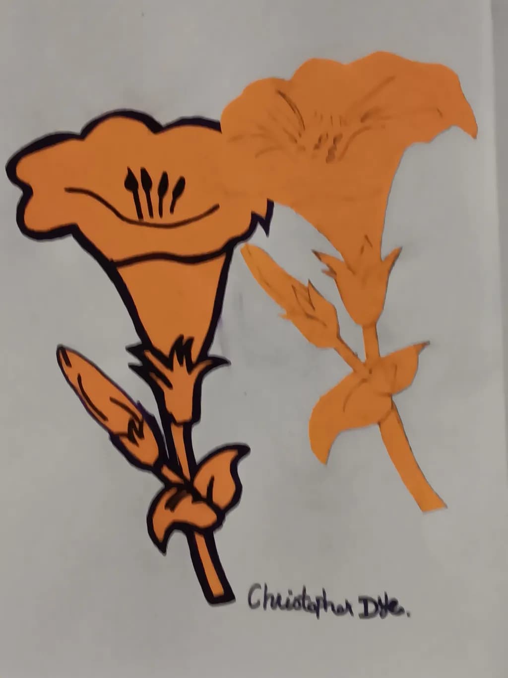 Twin Orange Blooms