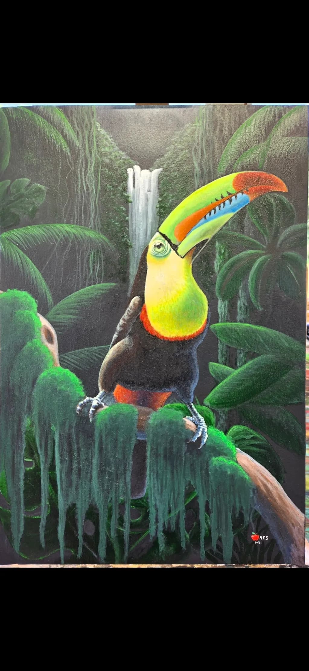 Rainforest Sentinel