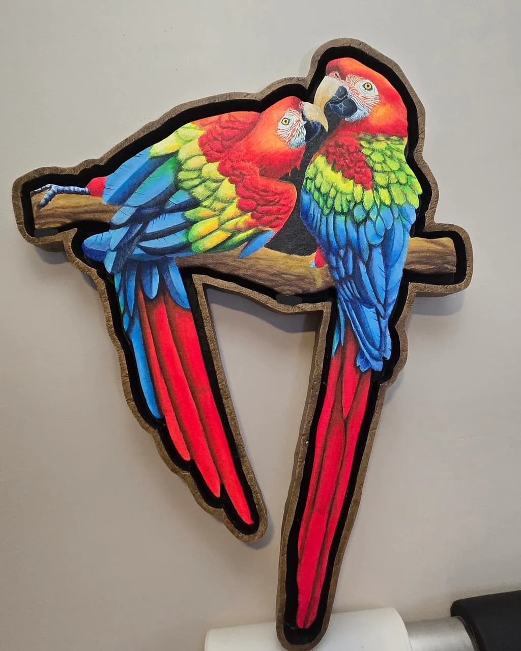 Rainbow Macaws
