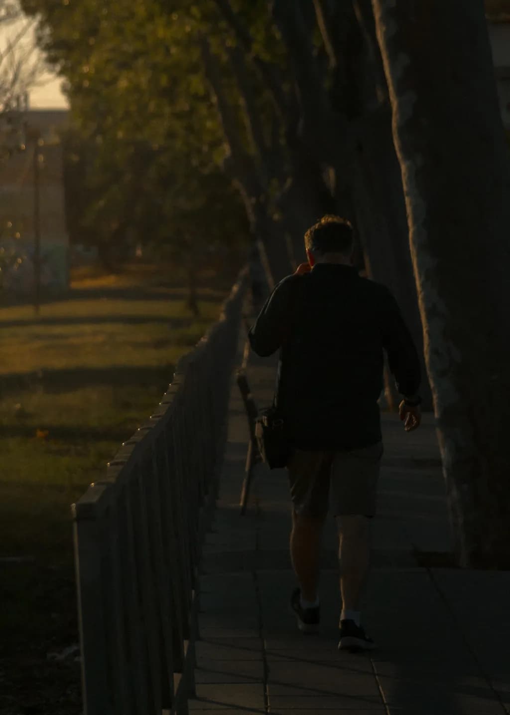 Last Light Stroll