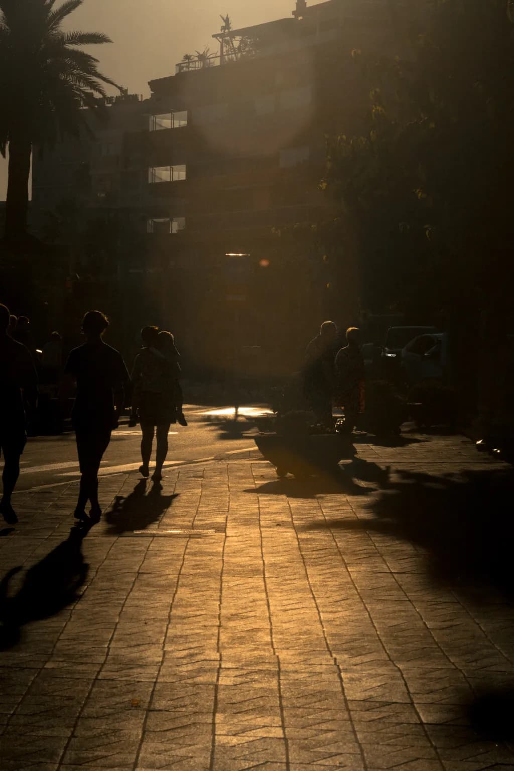 Golden Hour Shuffle