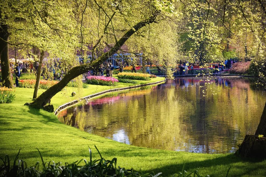 Ornamental Garden View