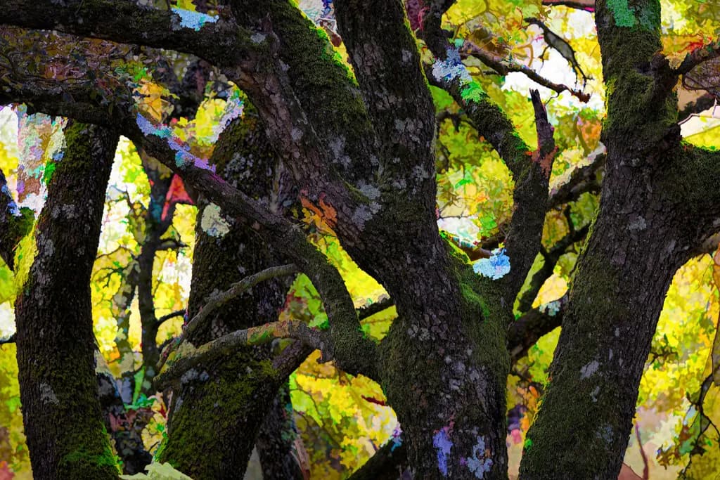Moss Veined Branches