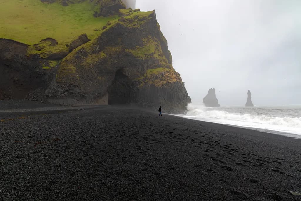 Black Sands Shoreline