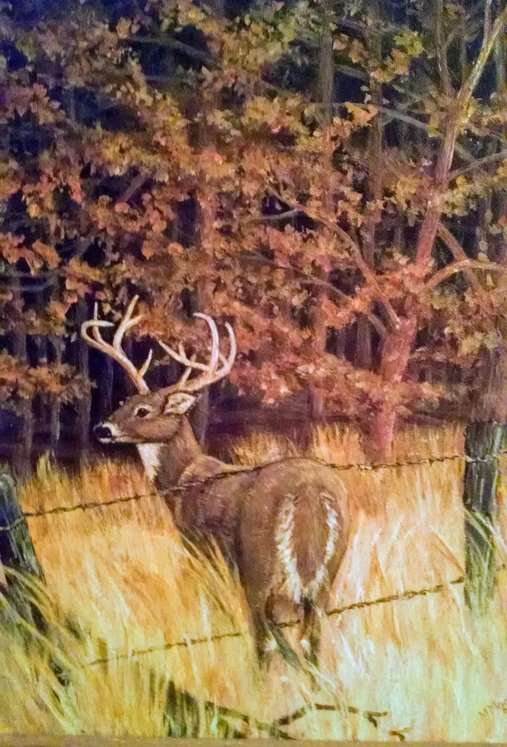 Autumn Buck