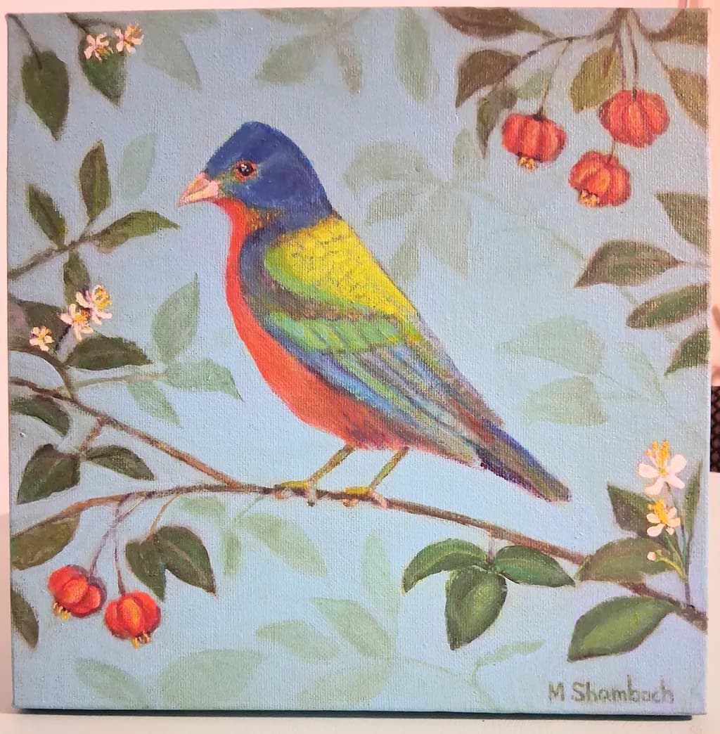 Painted Bunting in surinam cherry bush