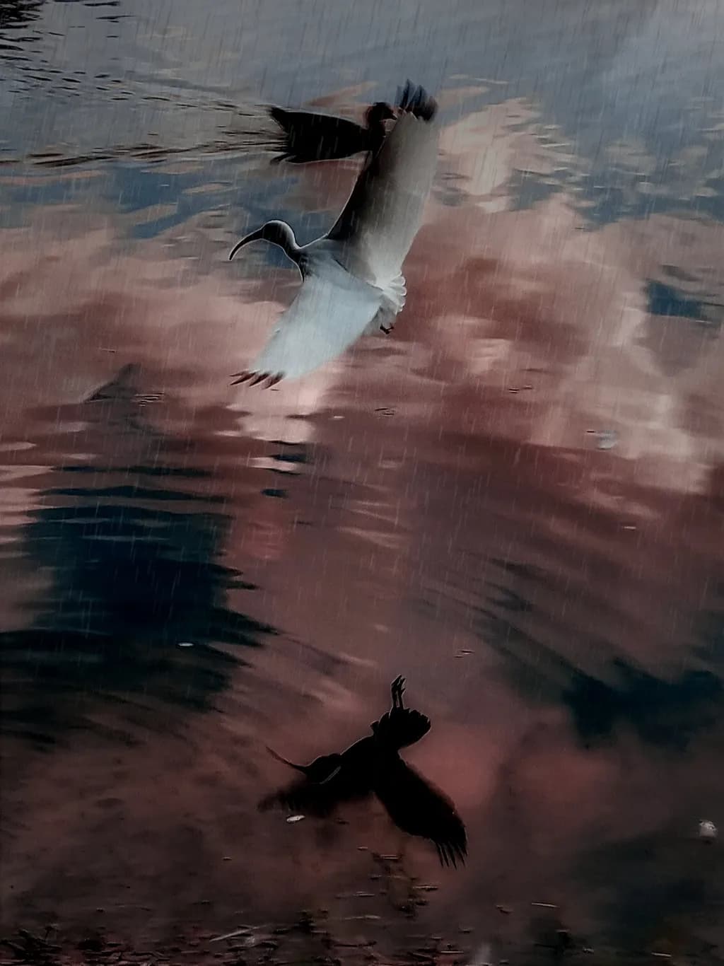 Gliding Reflection