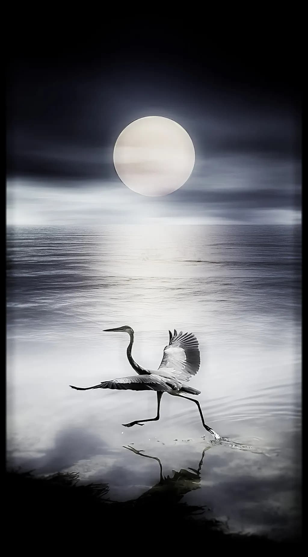 Moonlit Crane