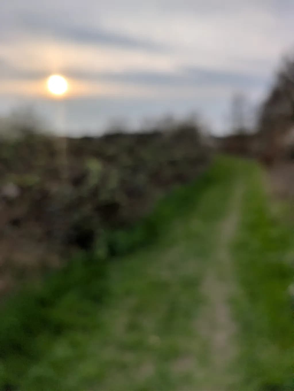 Faded Pathway