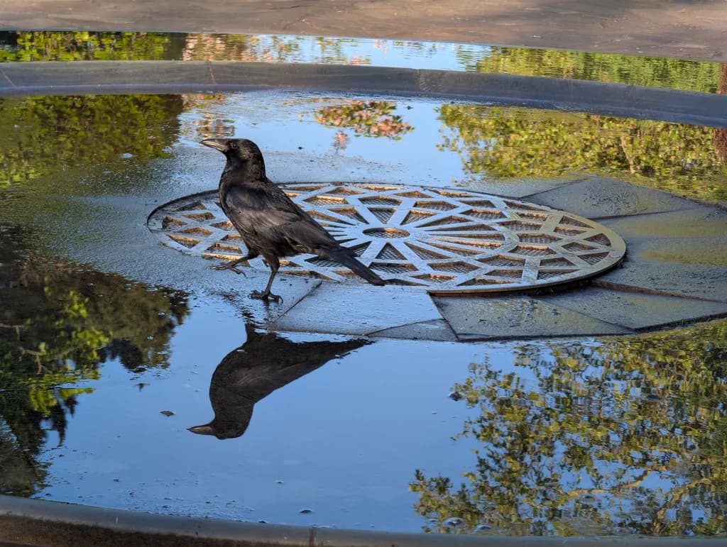 Urban Reflection