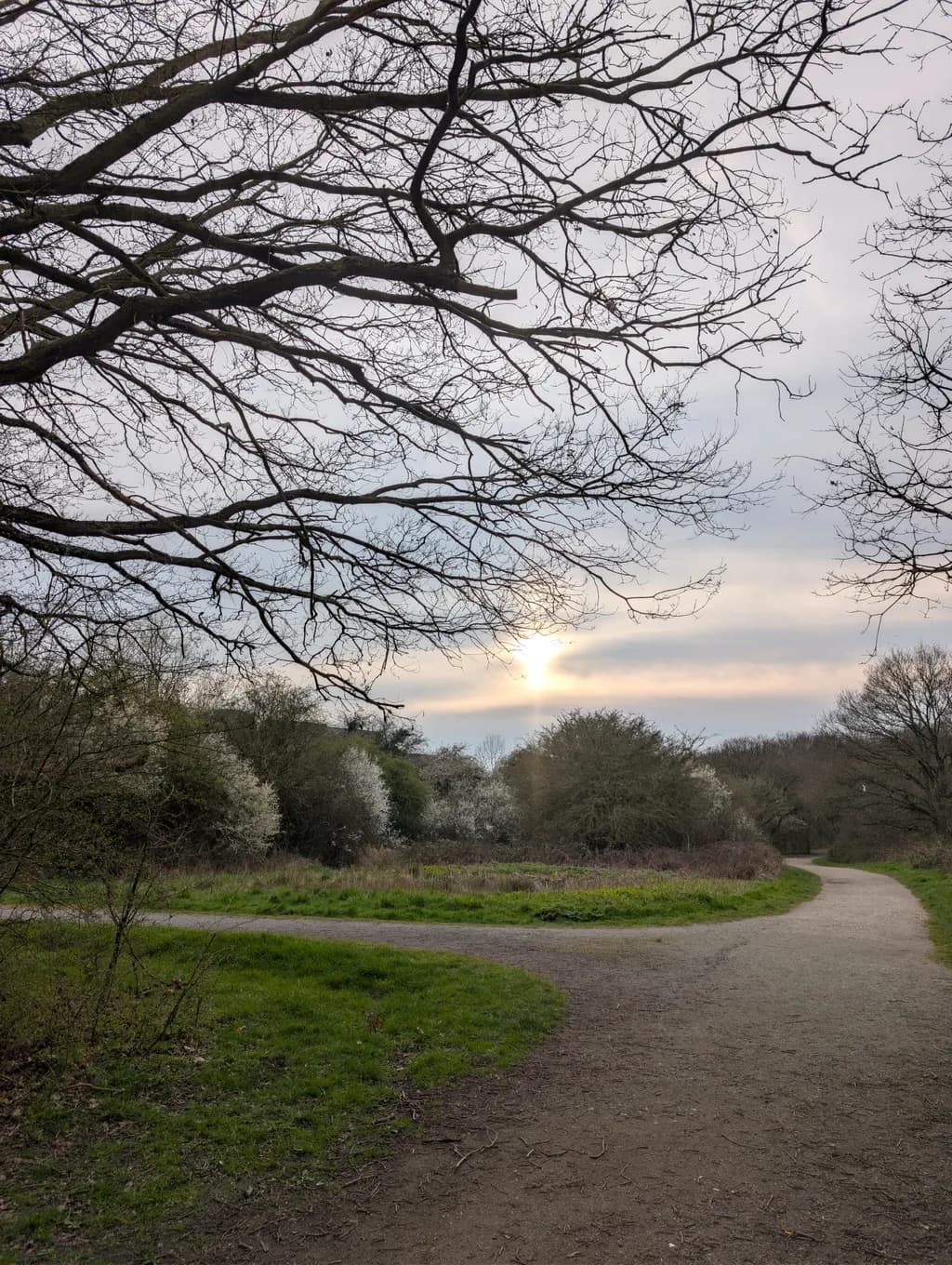 Late Winter Pathways