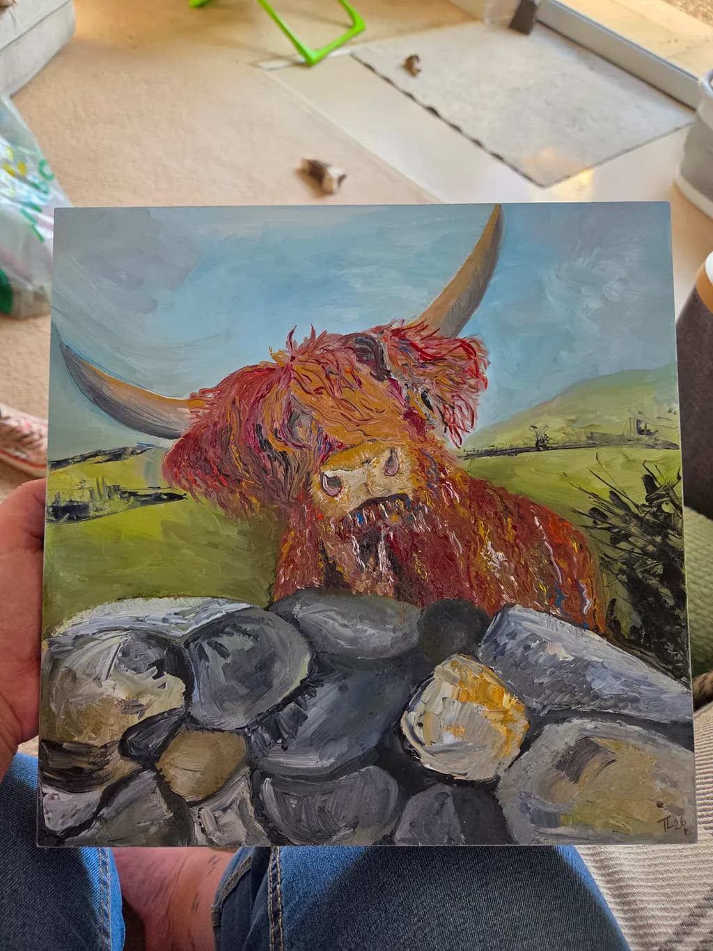Highland Cattle Over Stones