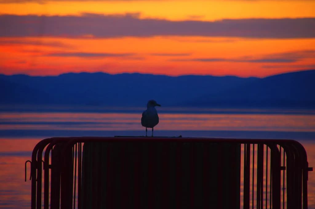 Seagull Mountain Sunset