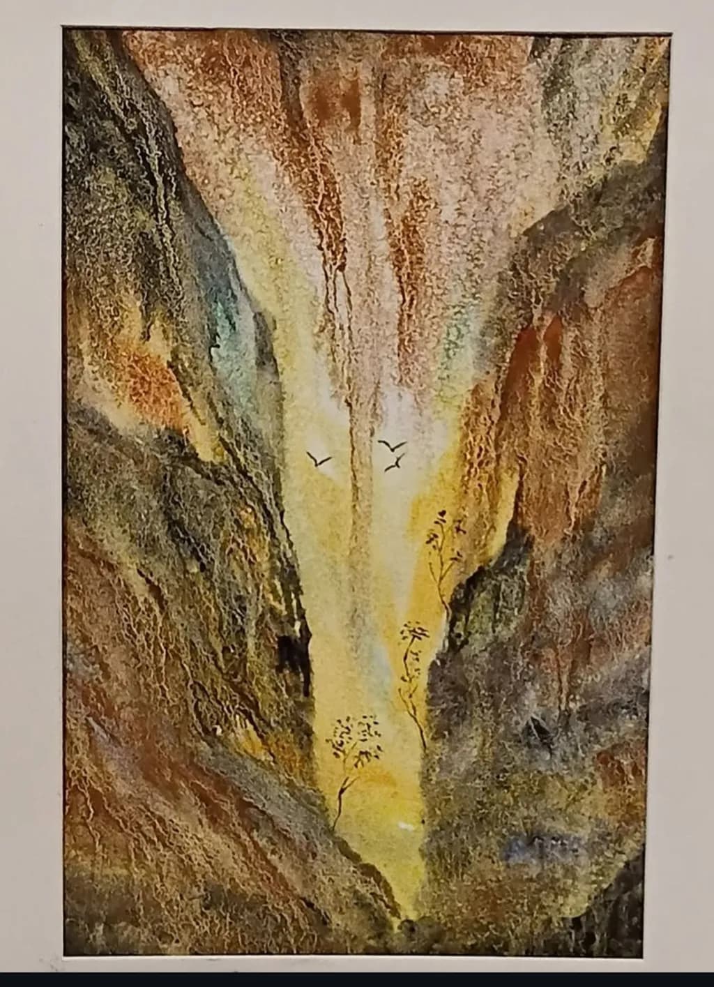 Sunlit Ravine