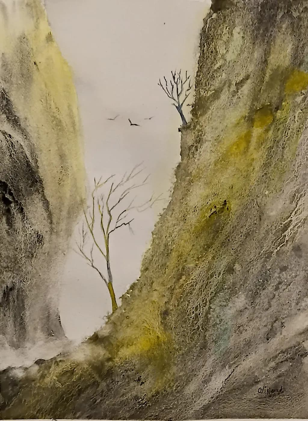 Silent Ravine
