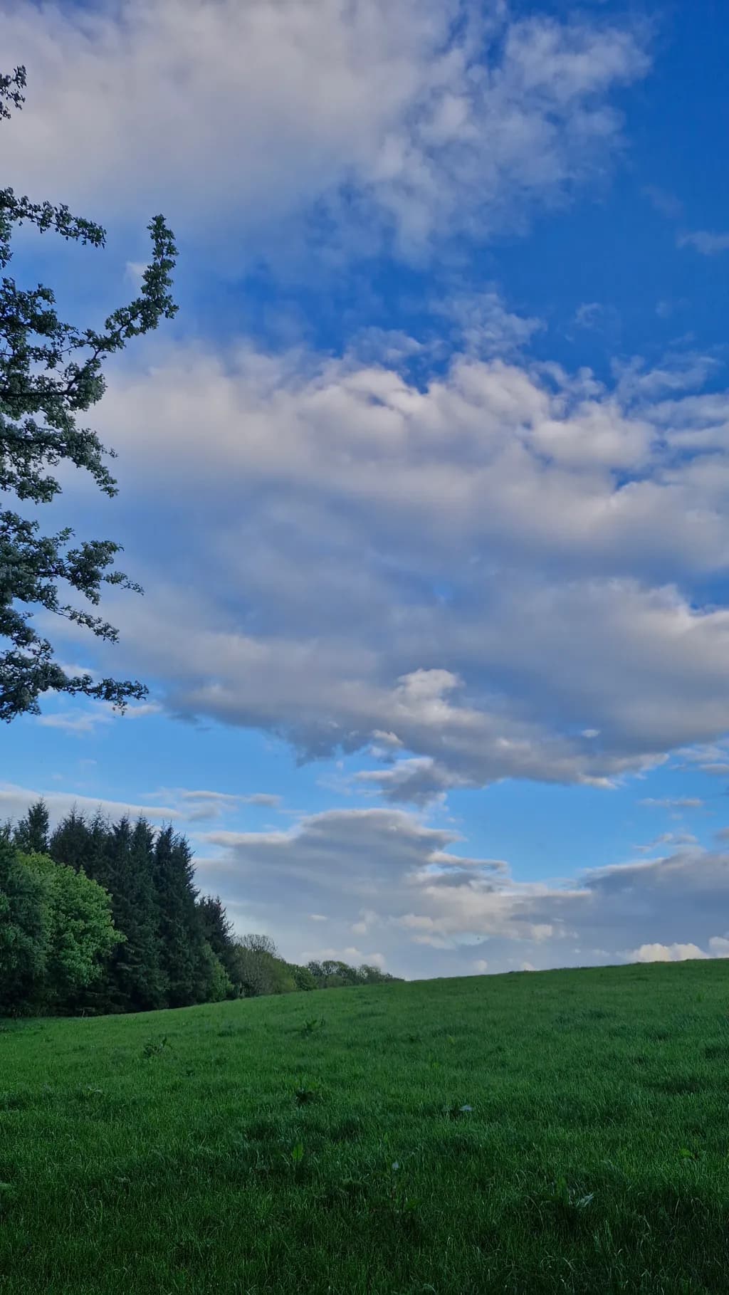 Blue Sky Horizon