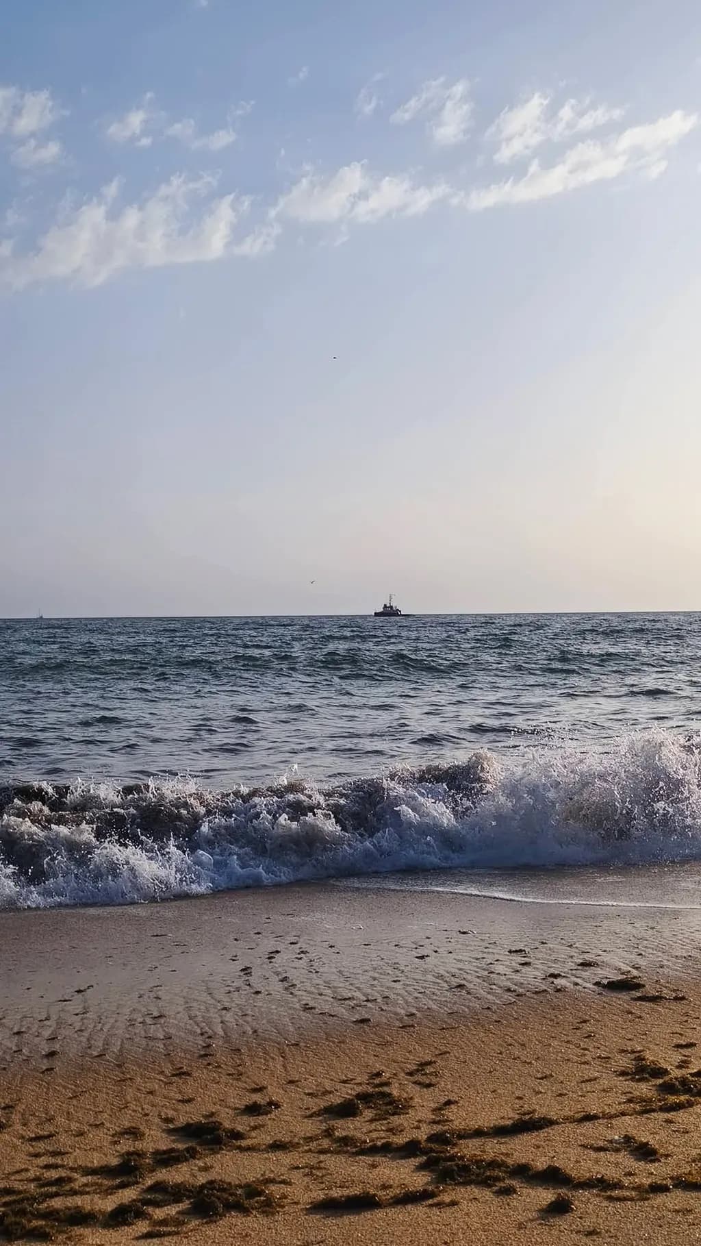 Ocean Horizon